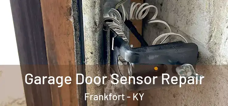 Garage Door Sensor Repair Frankfort - KY